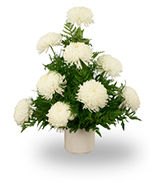 Chrysanthemum arrangement Chrysanthemum arrangement