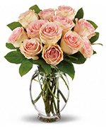 Teleflora's Delicate Dozen Teleflora's Delicate Dozen
